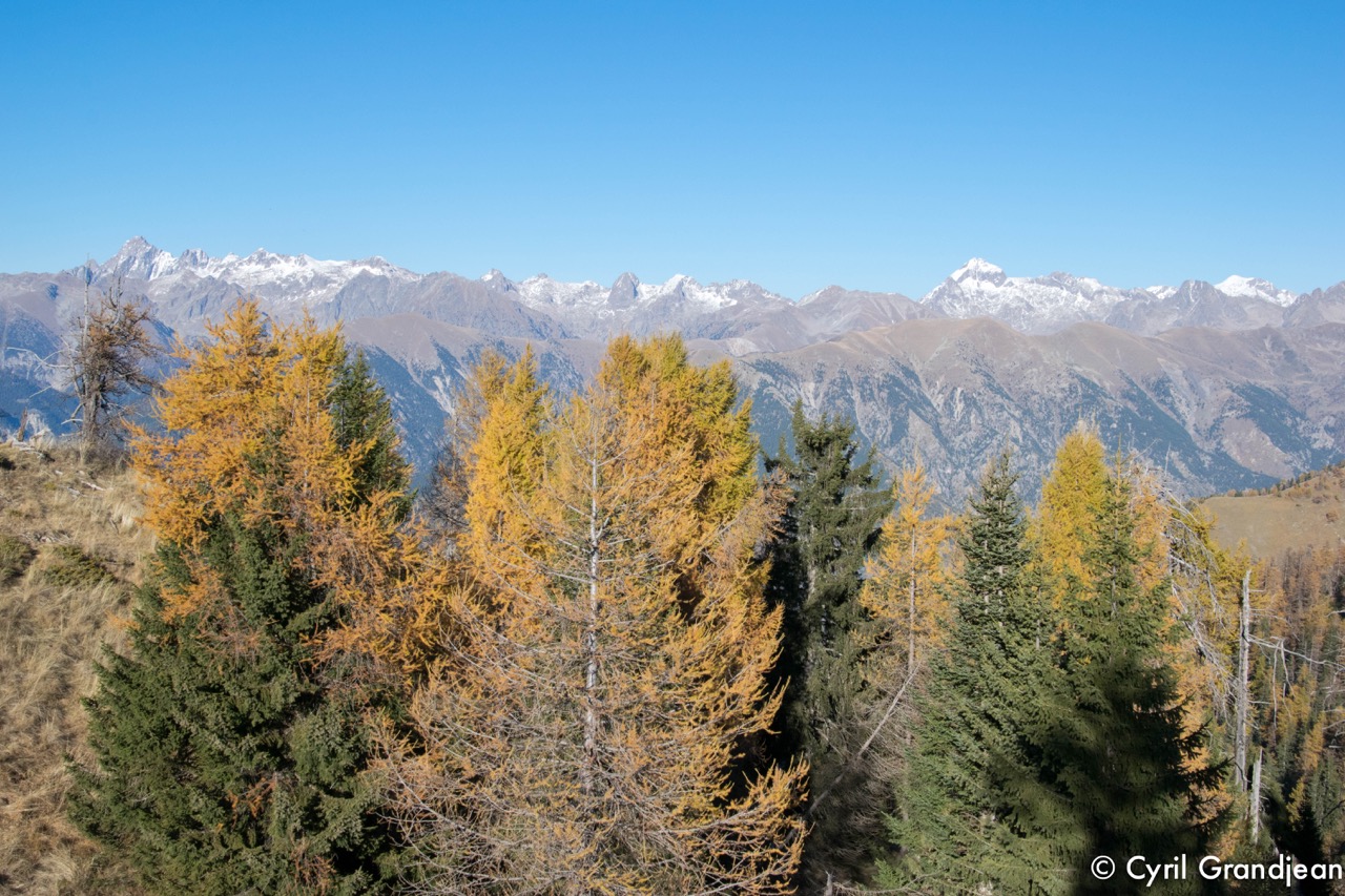 Circuit of Tournairet