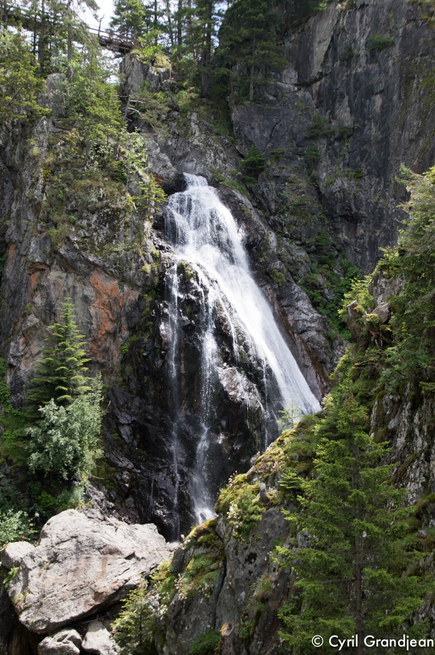 Circuit of Trecolpas