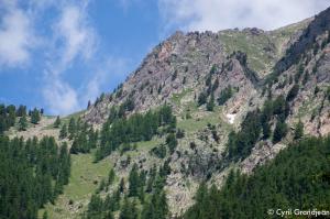 Circuit of Trecolpas