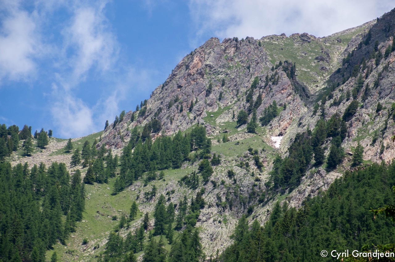 Circuit of Trecolpas