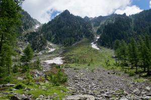 Circuit of Trecolpas