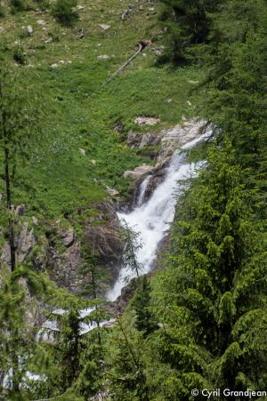 Circuit of Trecolpas