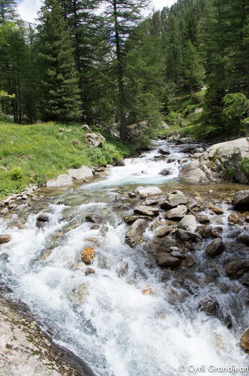 Circuit of Trecolpas