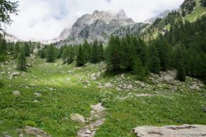 Circuit of Trecolpas