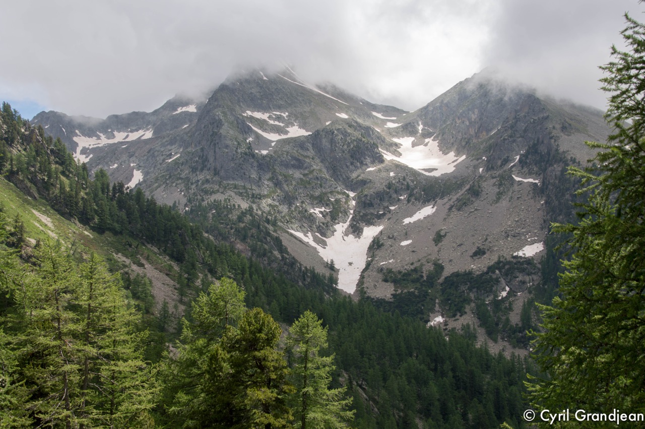 Circuit of Trecolpas