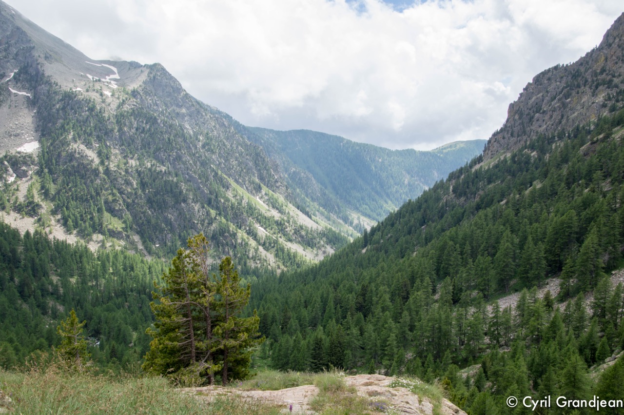 Circuit of Trecolpas