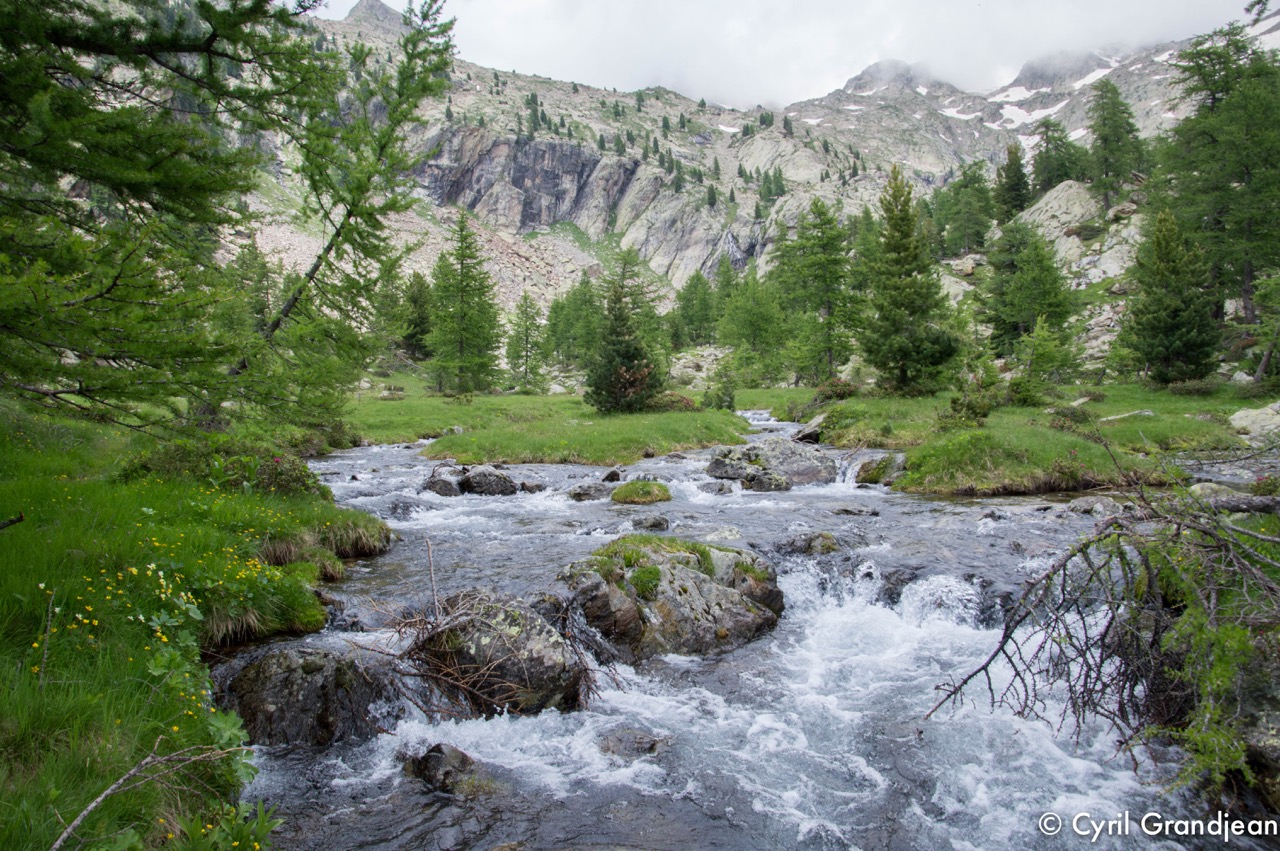 Circuit of Trecolpas