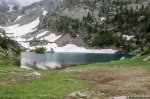 Circuit of Trecolpas