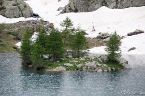 Circuit of Trecolpas