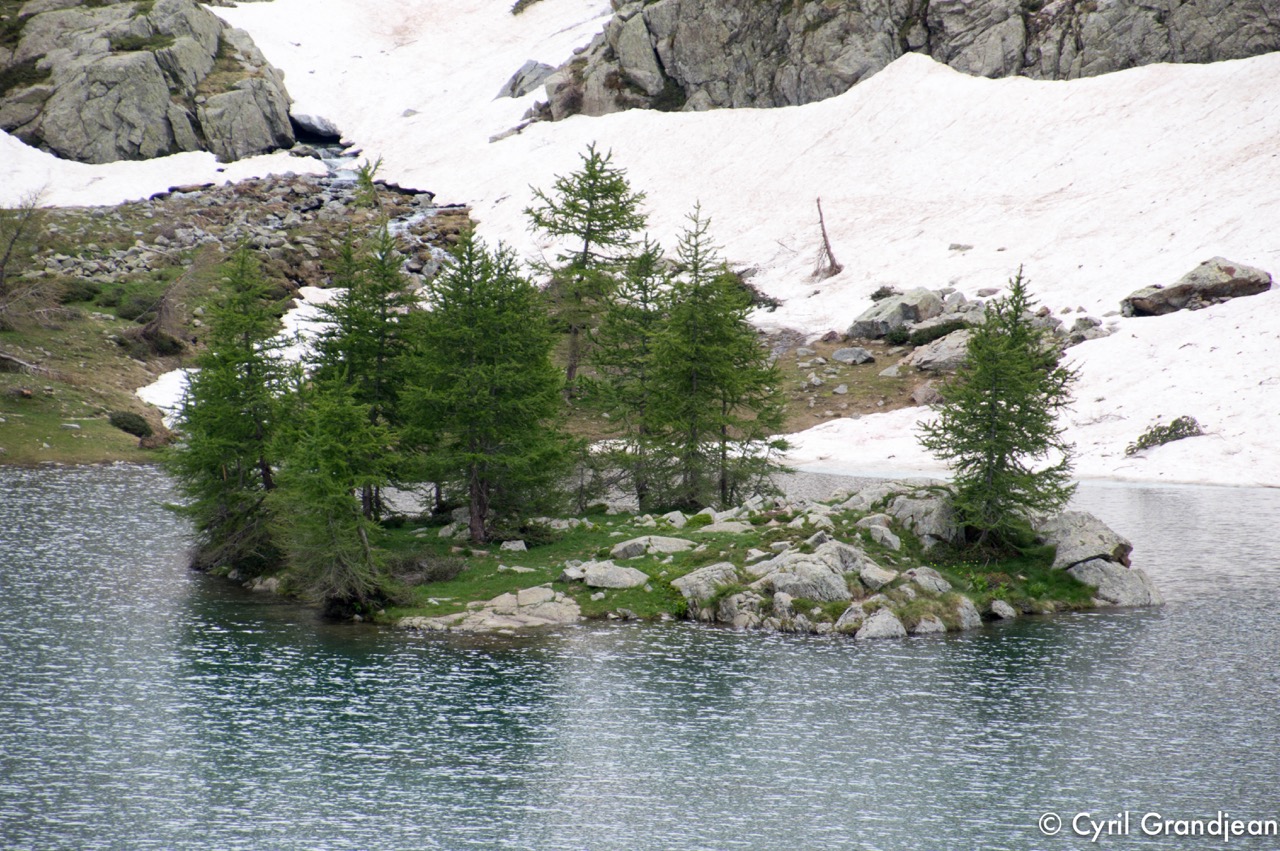 Circuit of Trecolpas