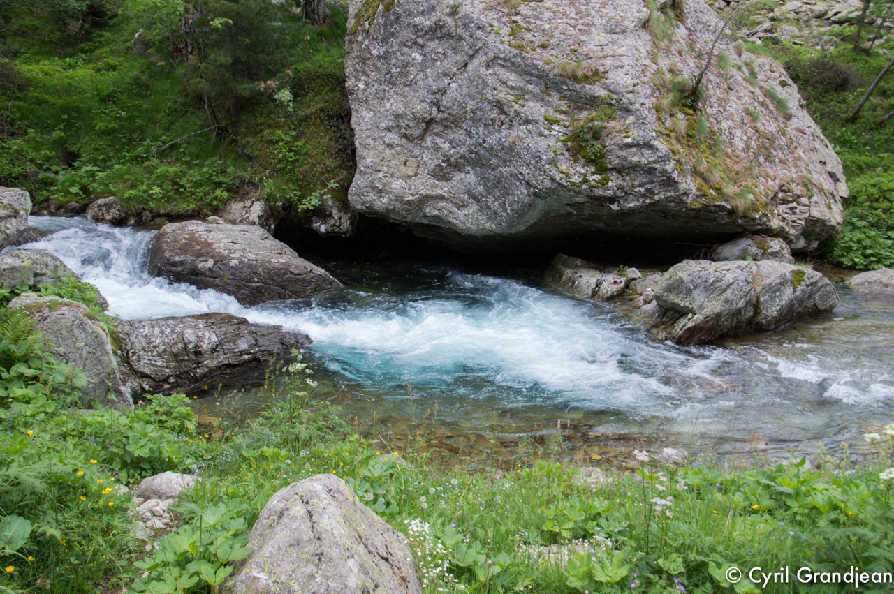 Circuit of Trecolpas