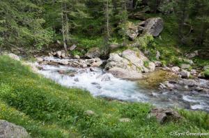 Circuit of Trecolpas