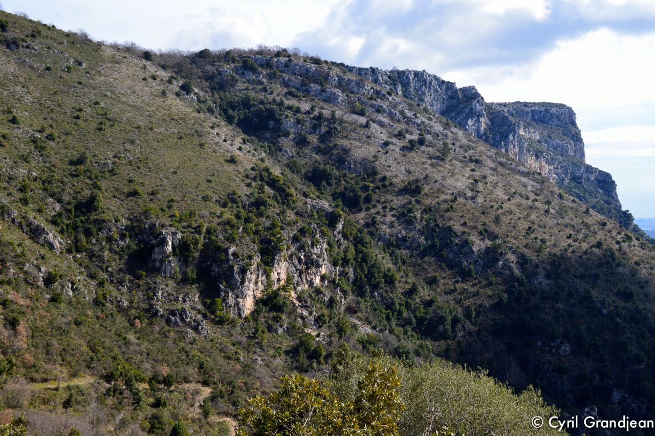 Circuit of Castellet