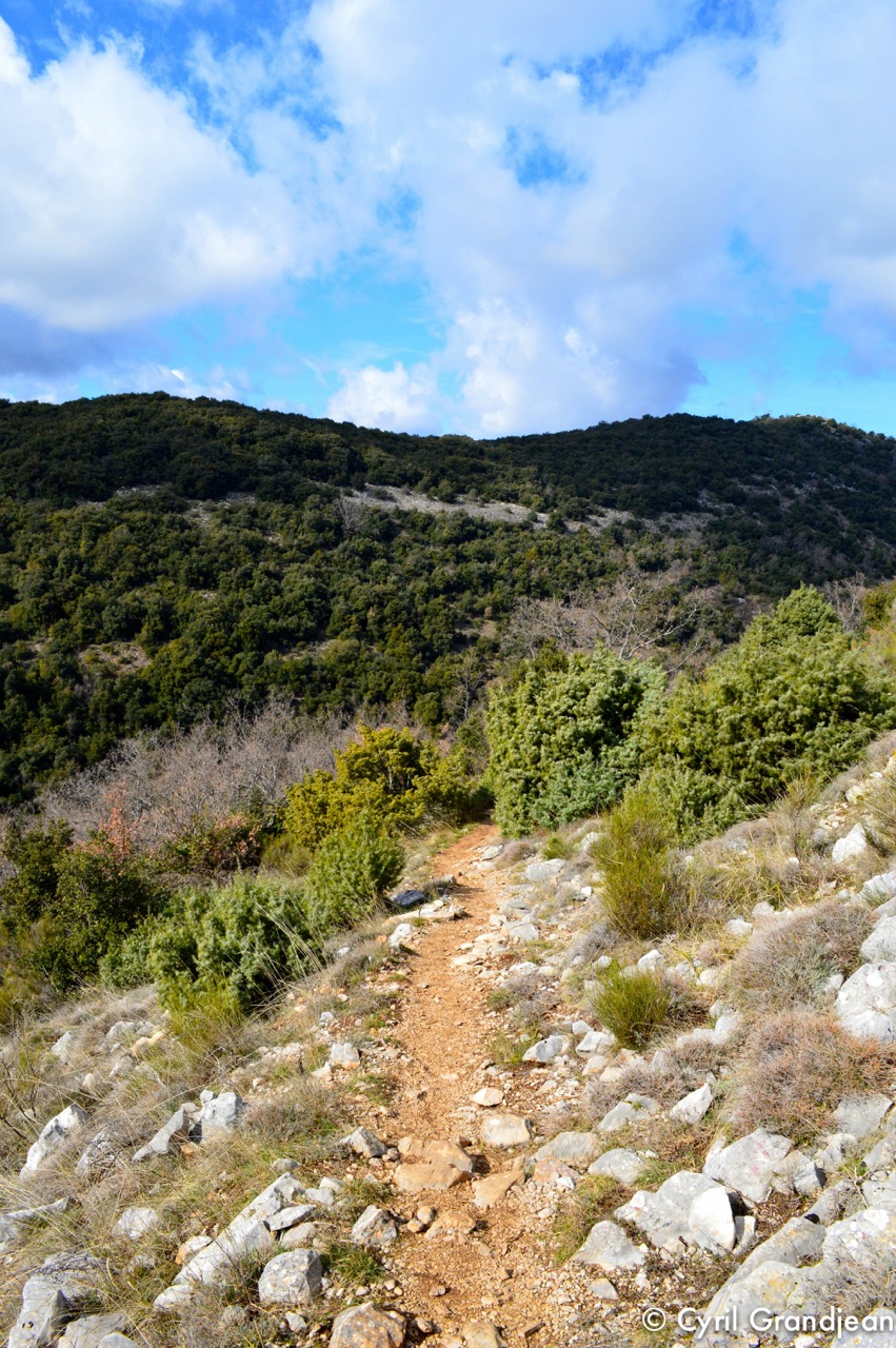Circuit of Castellet