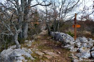 Circuit of Castellet