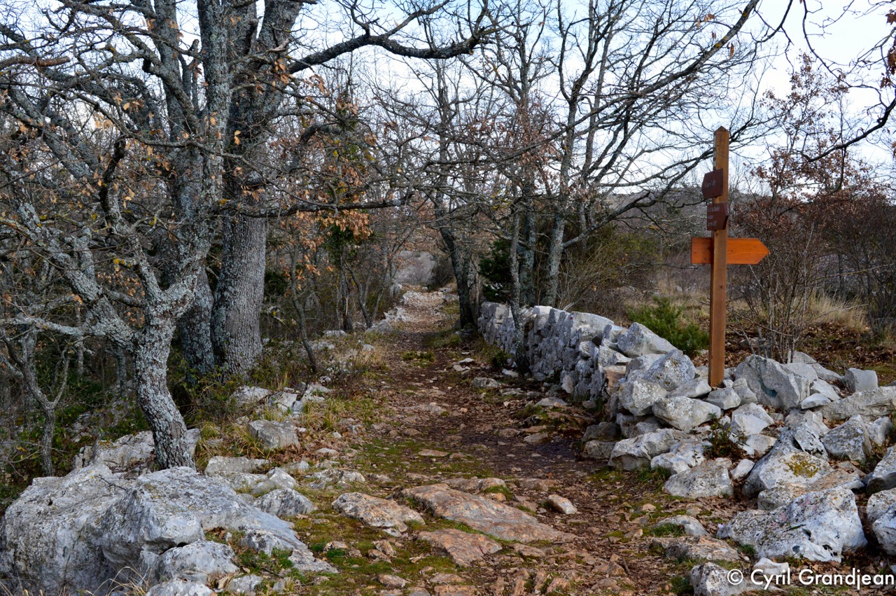 Circuit of Castellet