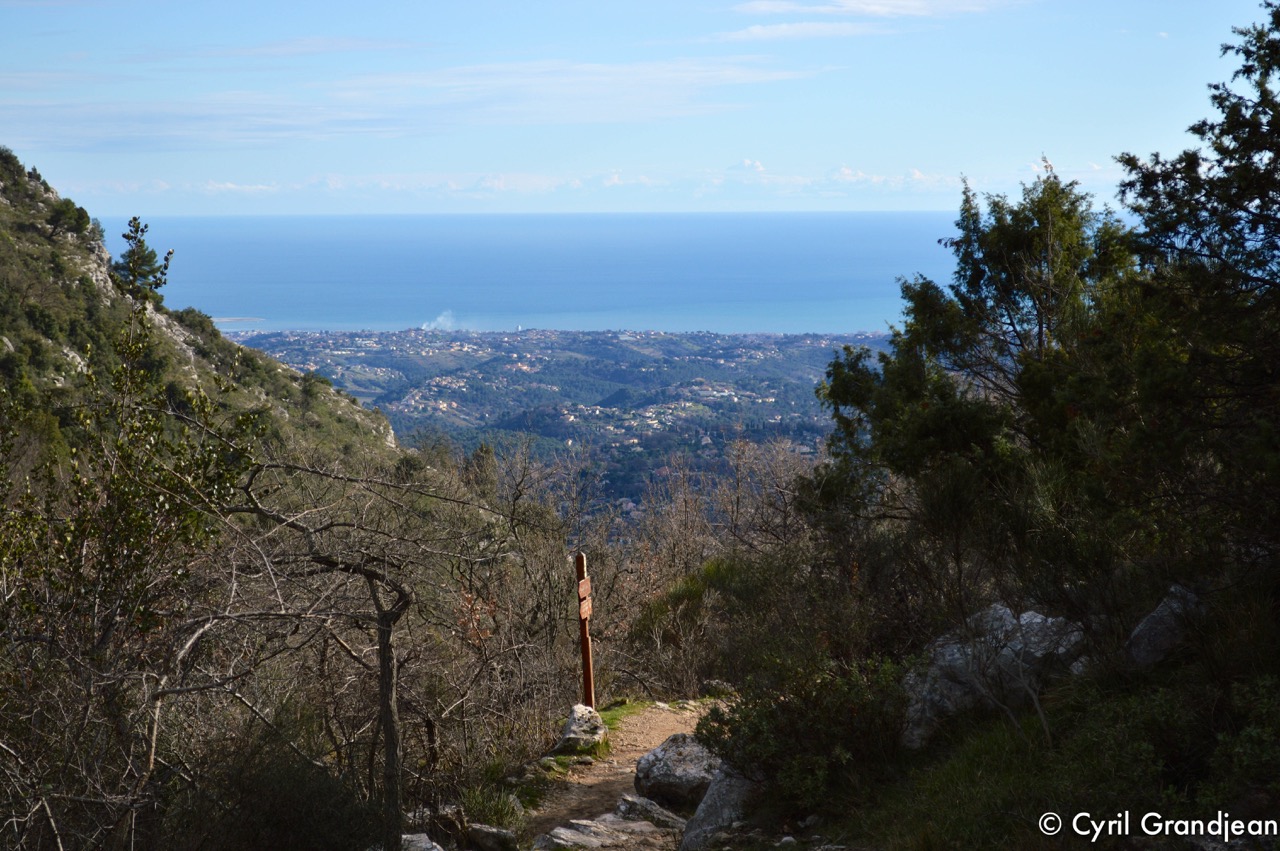Circuit of Castellet