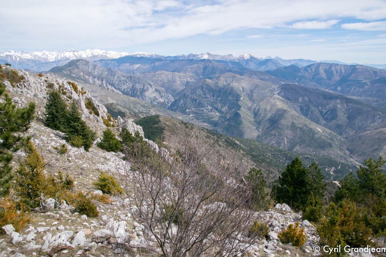 Ridge and summit of Férion