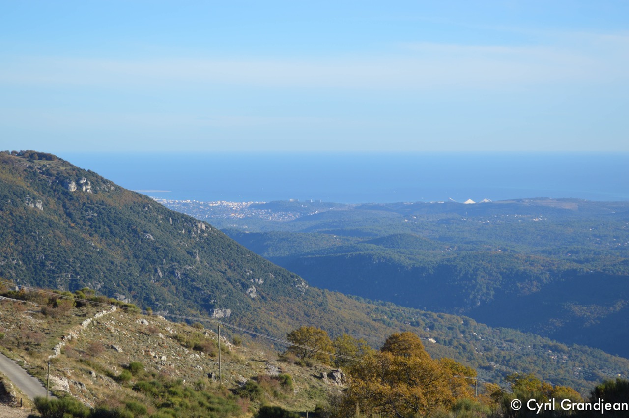 Plateau of Cavillore