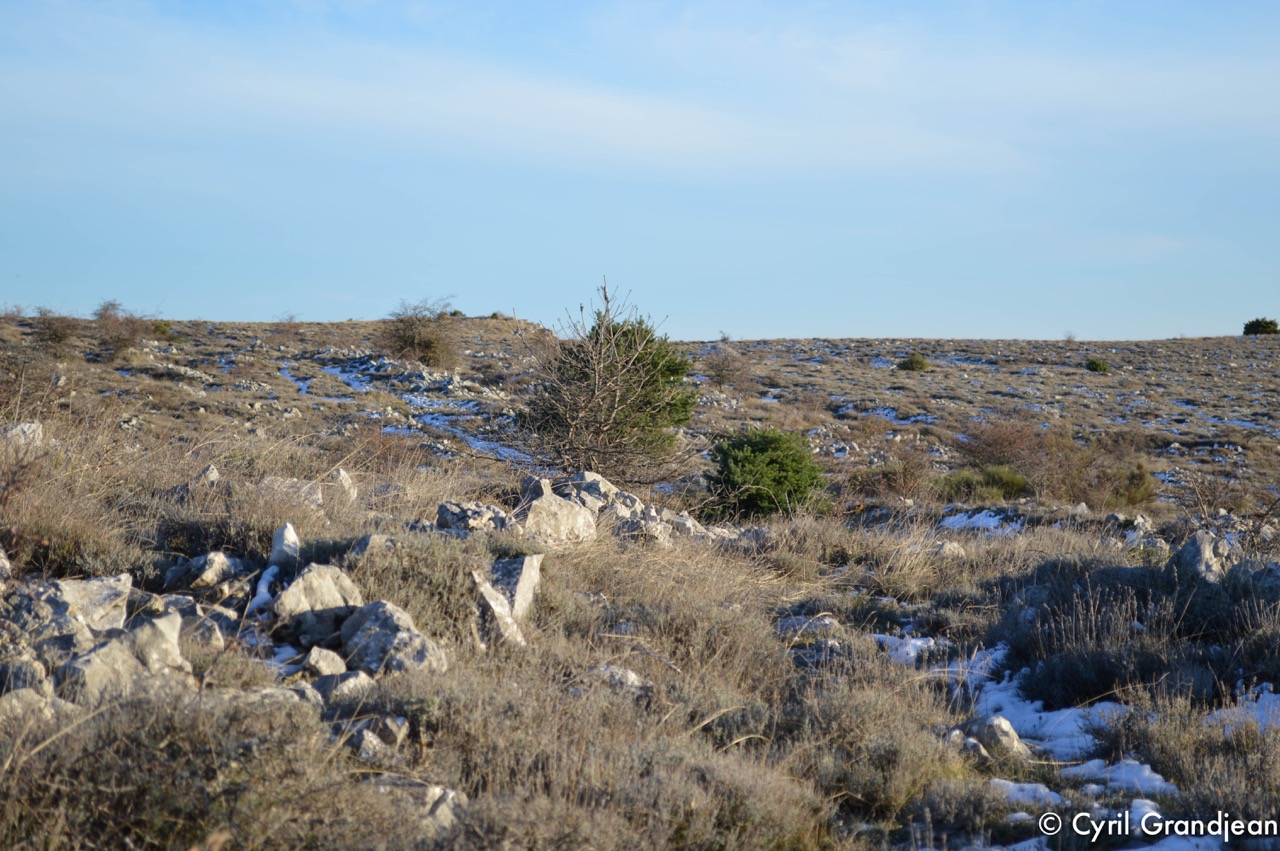 Plateau of Cavillore