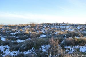 Plateau of Cavillore