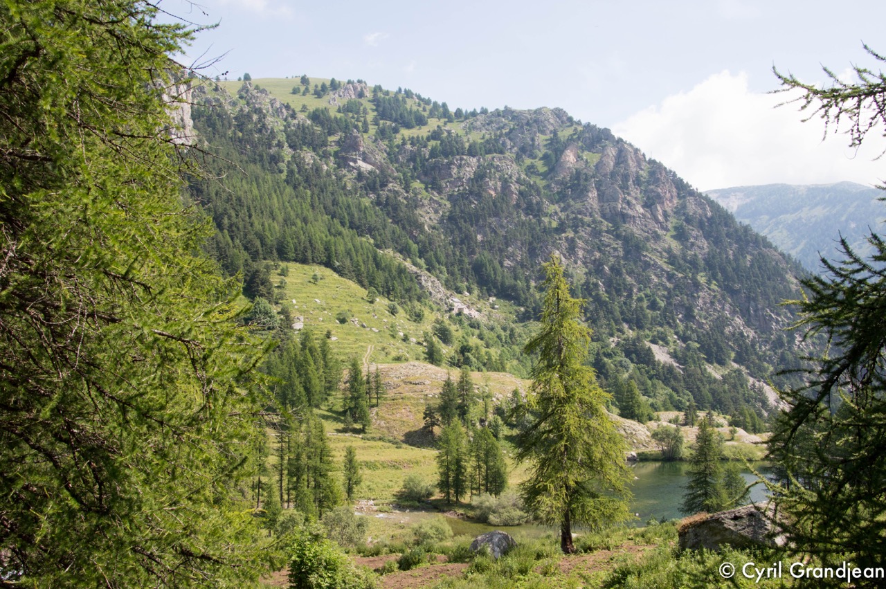 Vallée des Merveilles