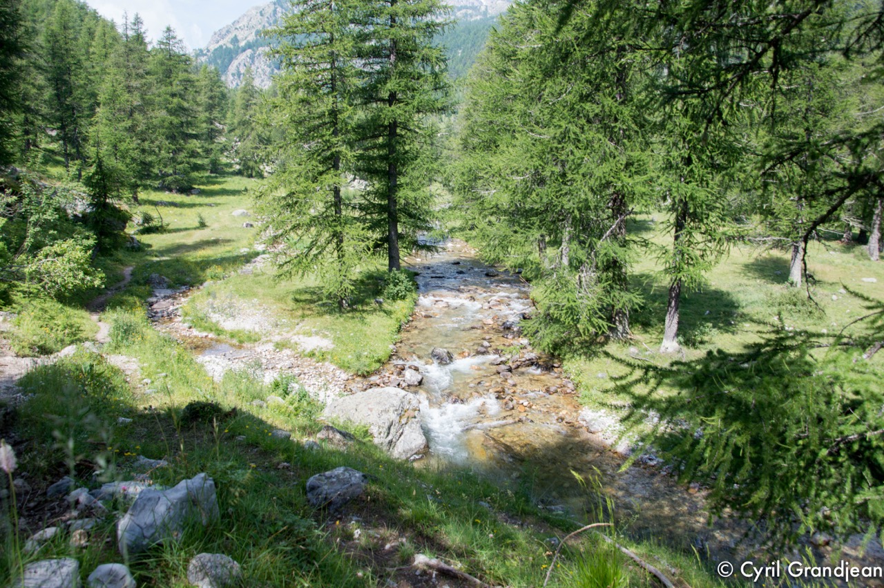 Vallée des Merveilles