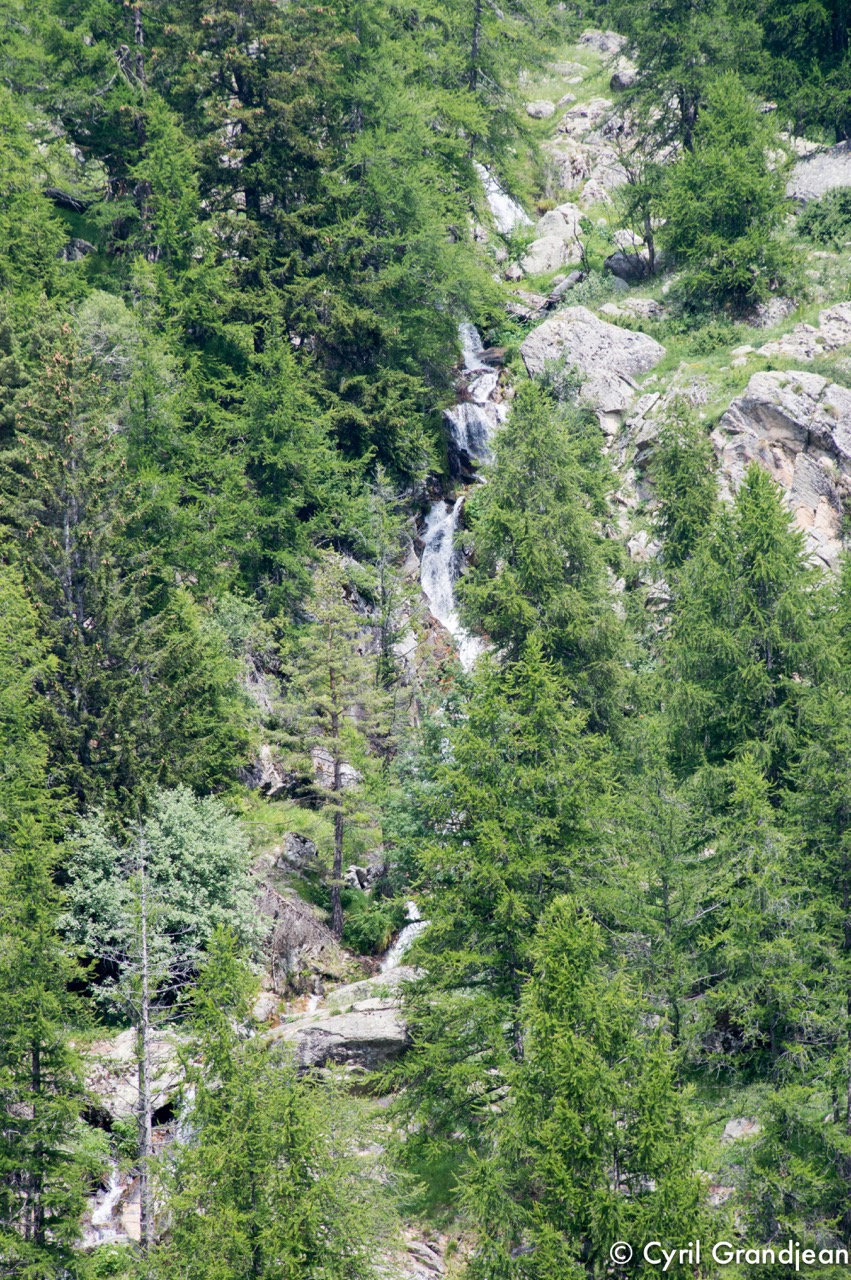 Vallée des Merveilles