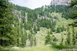 Vallée des Merveilles