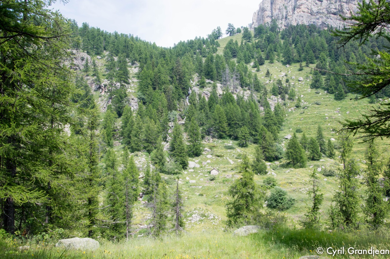 Vallée des Merveilles