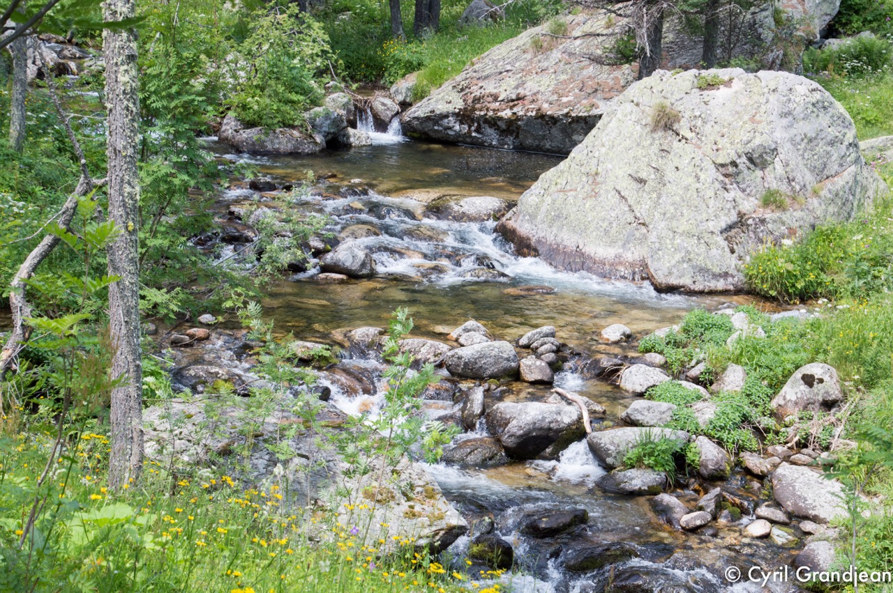 Vallée des Merveilles