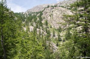 Vallée des Merveilles