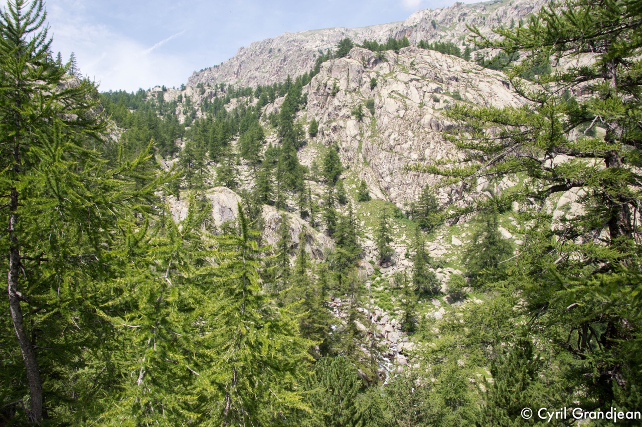 Vallée des Merveilles