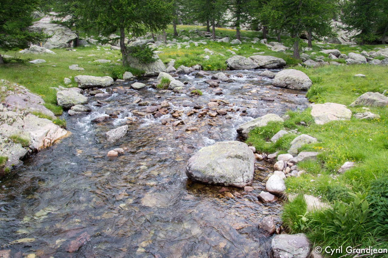 Vallée des Merveilles