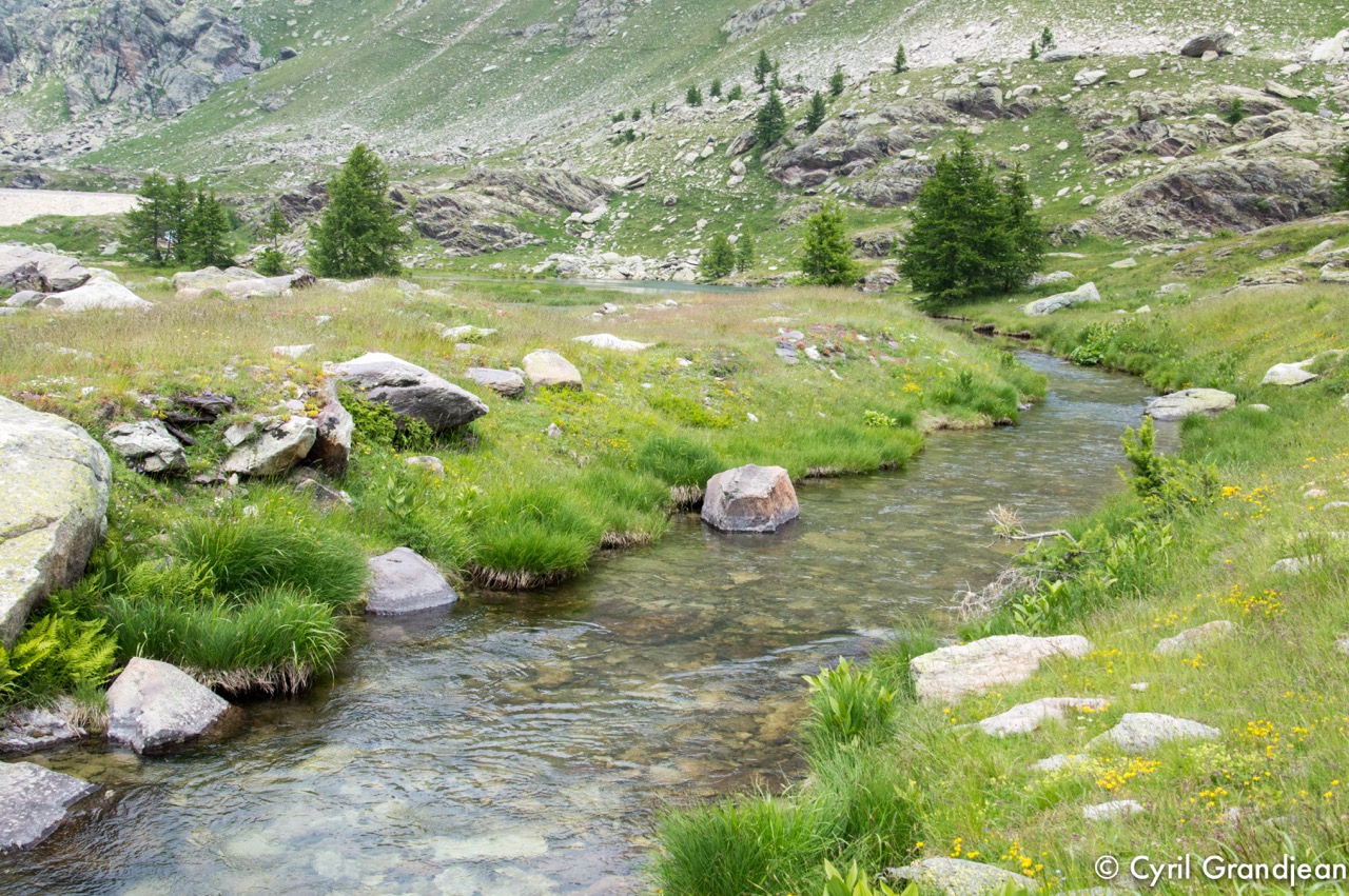 Vallée des Merveilles