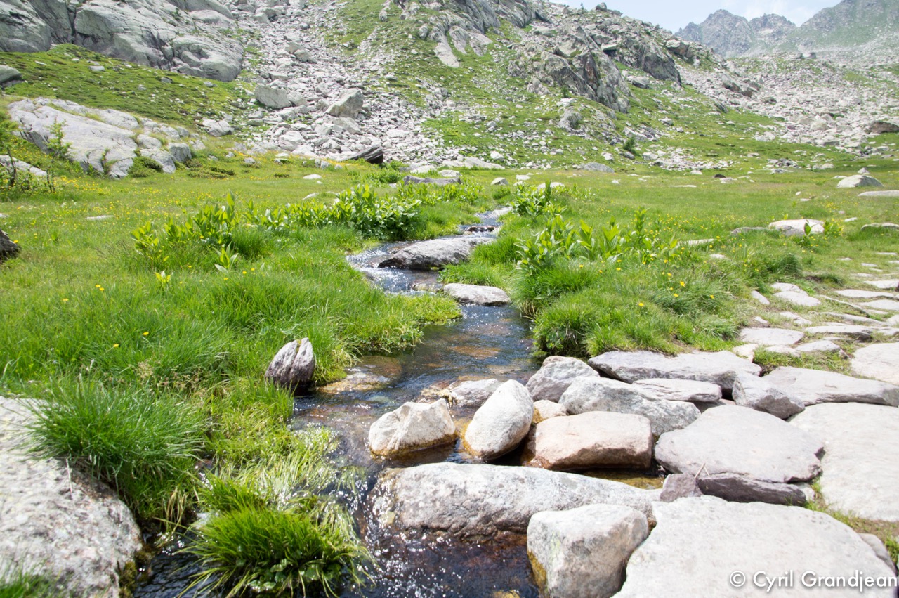 Vallée des Merveilles