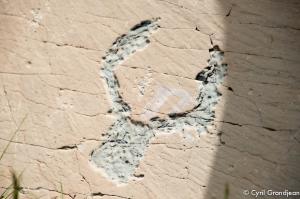 Vallée des Merveilles