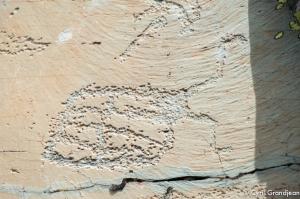 Vallée des Merveilles