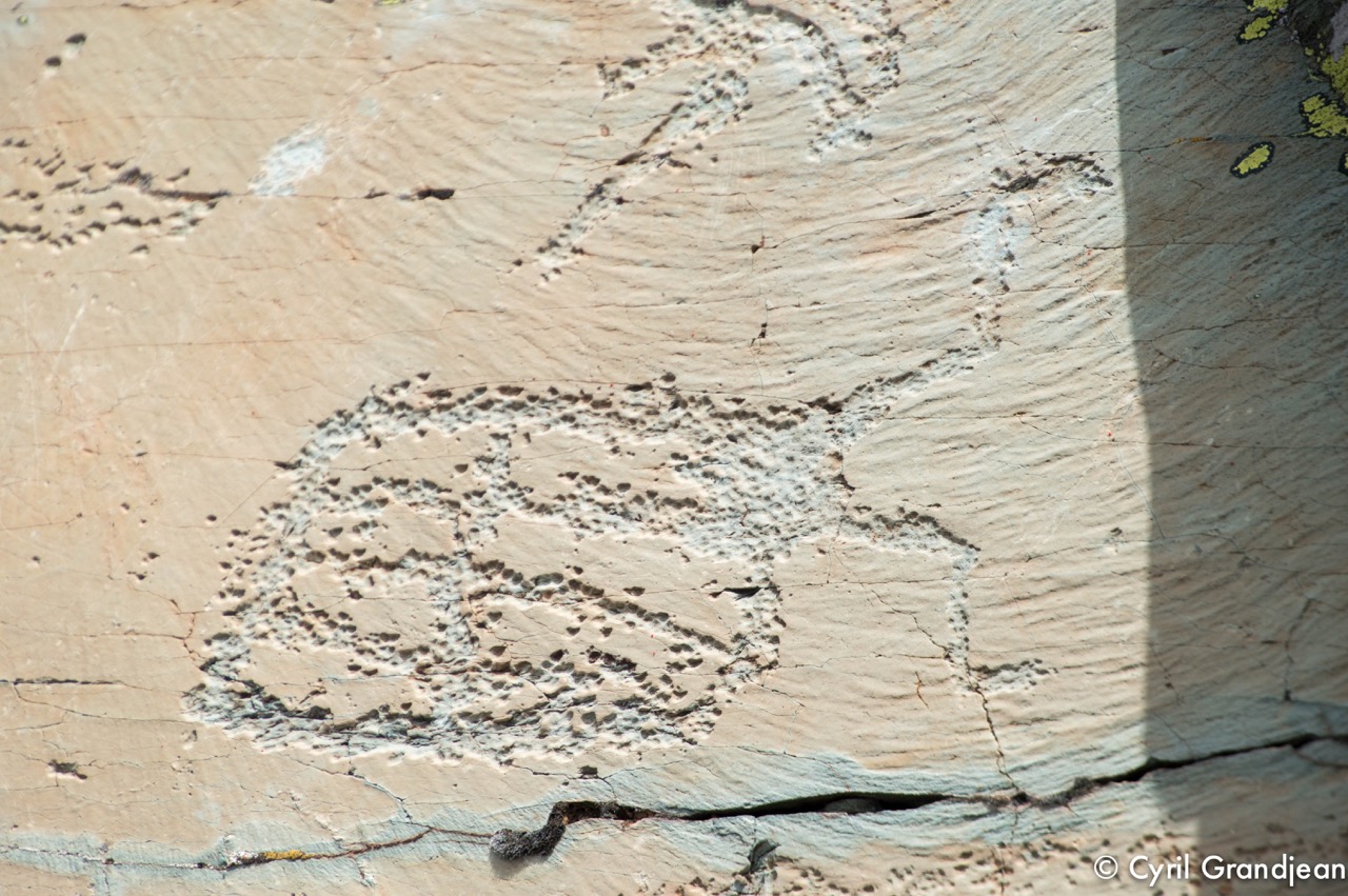 Vallée des Merveilles