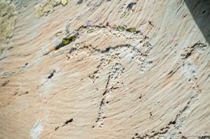 Vallée des Merveilles