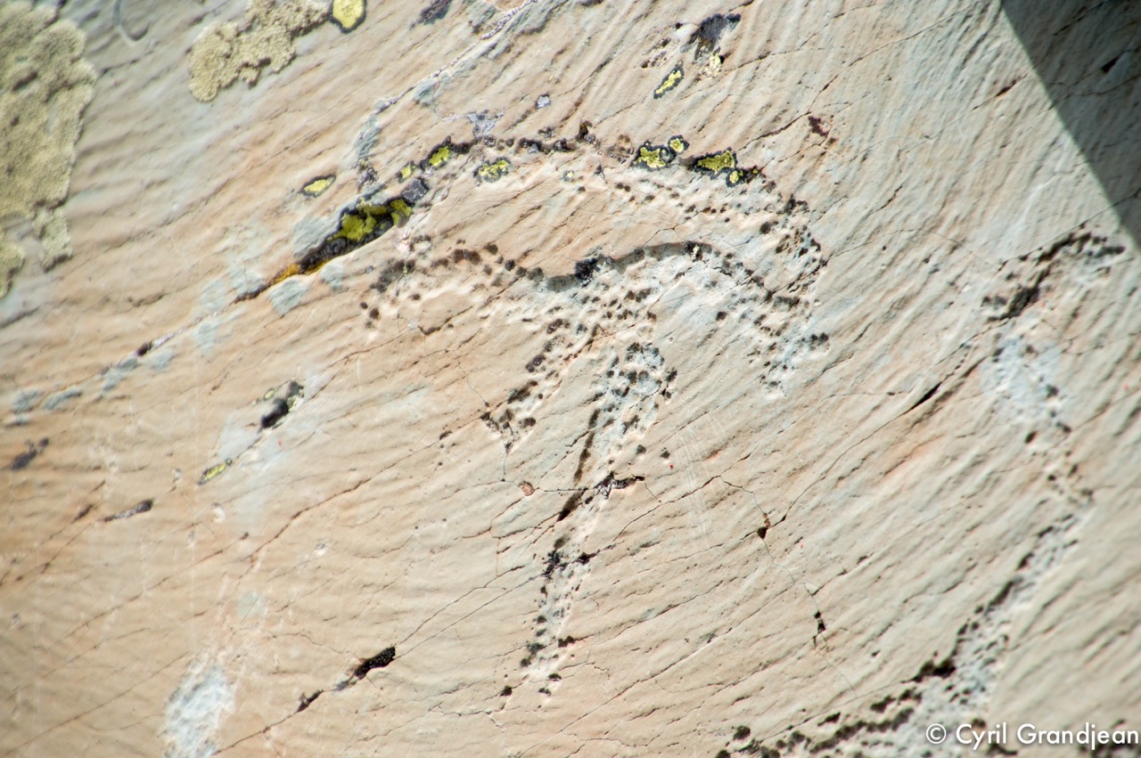 Vallée des Merveilles