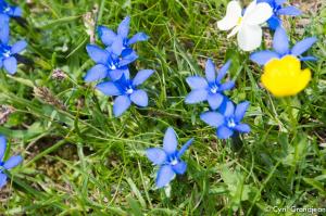 Vallée des Merveilles