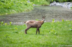 Vallée des Merveilles