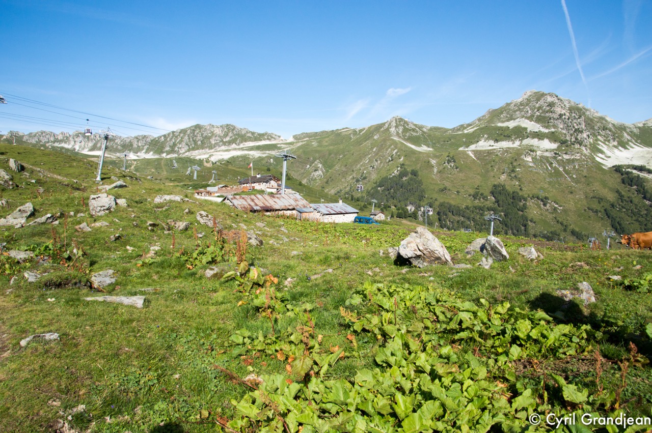 Summit of Grive