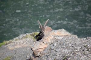 Summit of tête Nord des Fours