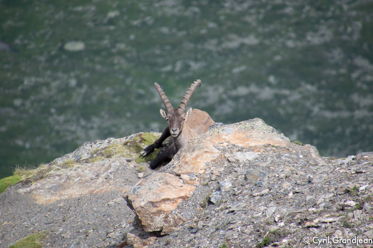 Summit of tête Nord des Fours