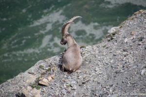 Summit of tête Nord des Fours