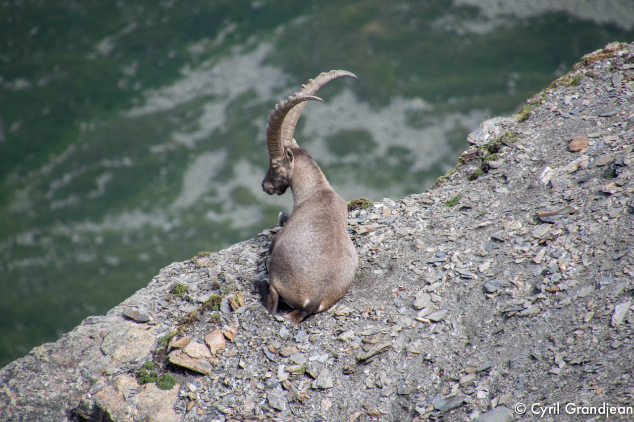 Summit of tête Nord des Fours