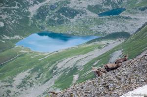 Summit of tête Nord des Fours