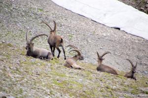Summit of tête Nord des Fours